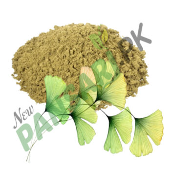 GINGKO BILOBA EXTRACT