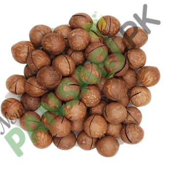 Macadamia Nuts میکاڈامیا