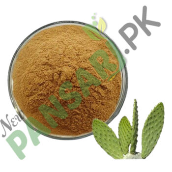 Hoodia gordonii Extract (African Hodia)