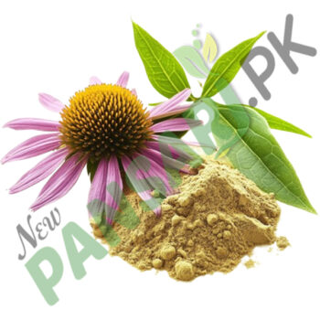 Echinacea Purpurea Extract (Coneflower)