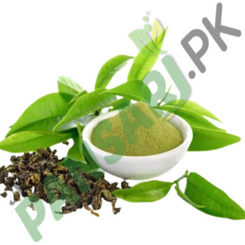 Green Tea Extract Camellia sinensis جوہر سبز چائے