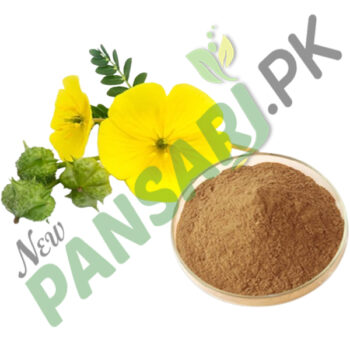 Tribulus terrestris Extract جوہر گھوکھرو