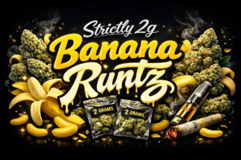 Central Waters Brewing Strawberry Guava Sour