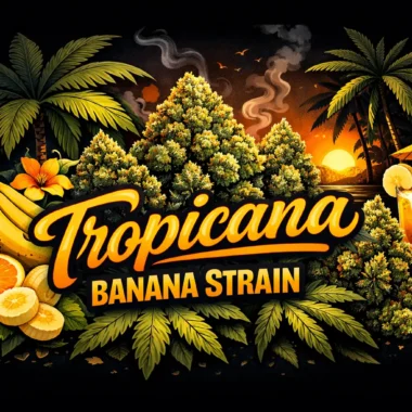 Jufran Banana Ketchup