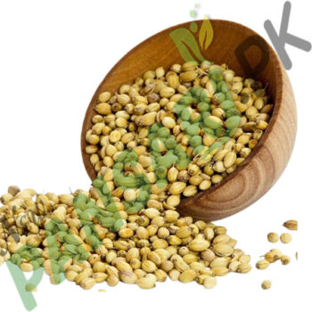 Premium Coriander Seeds (Dhania Sabut) – Fresh & Aromatic Spice in Pakistan 100% Organic