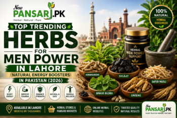 Top 5 Cooling Herbal Remedies for Summer in Pakistan (2026 Guide)