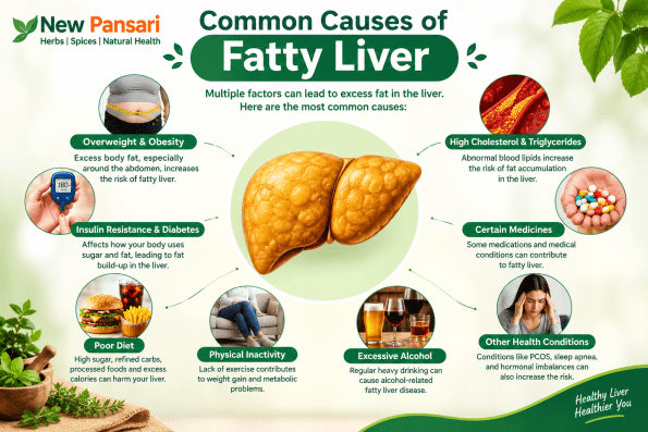 Common Causes of Fatty Liver