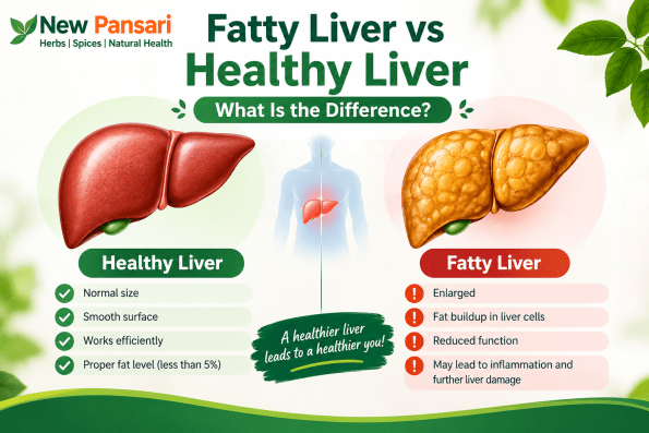 Fatty Liver vs Healthy Liver – What Is the Difference?