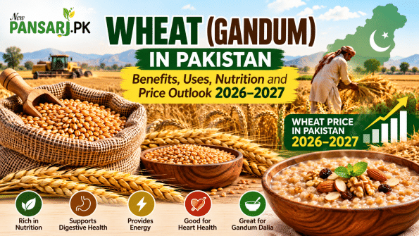Wheat (Gandum) in Pakistan: Benefits, Uses, Nutrition and Price Outlook 2026–2027