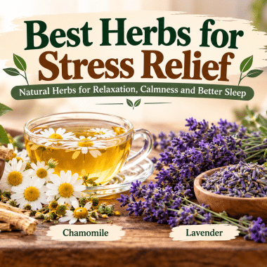 Best Herbs for Digestion: 10 Natural Herbs to Support Gut Health