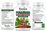Punarnava Extract Capsules